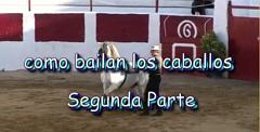 070 Villanueva de Alcardete, como bailan los caballos segunda parte